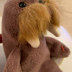 jolly beanie baby value